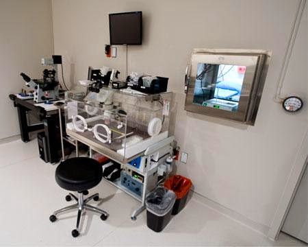 Fertility Specialists of Texas, PLLC photo 2