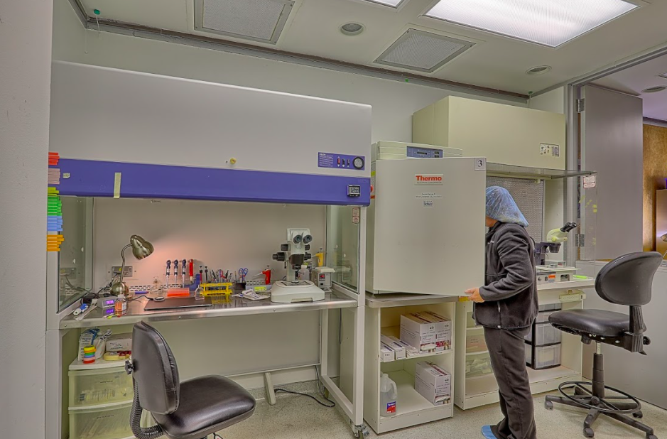 Houston Fertility Institute photo 5