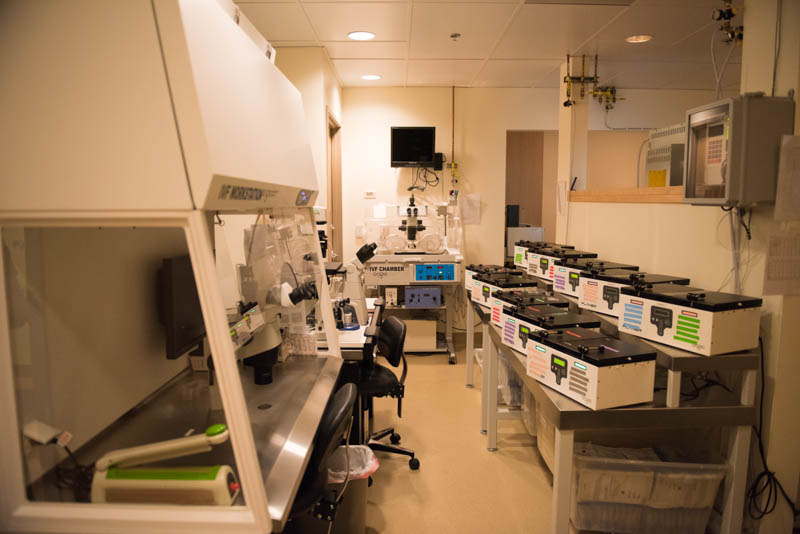 IVF Hawaii photo 4