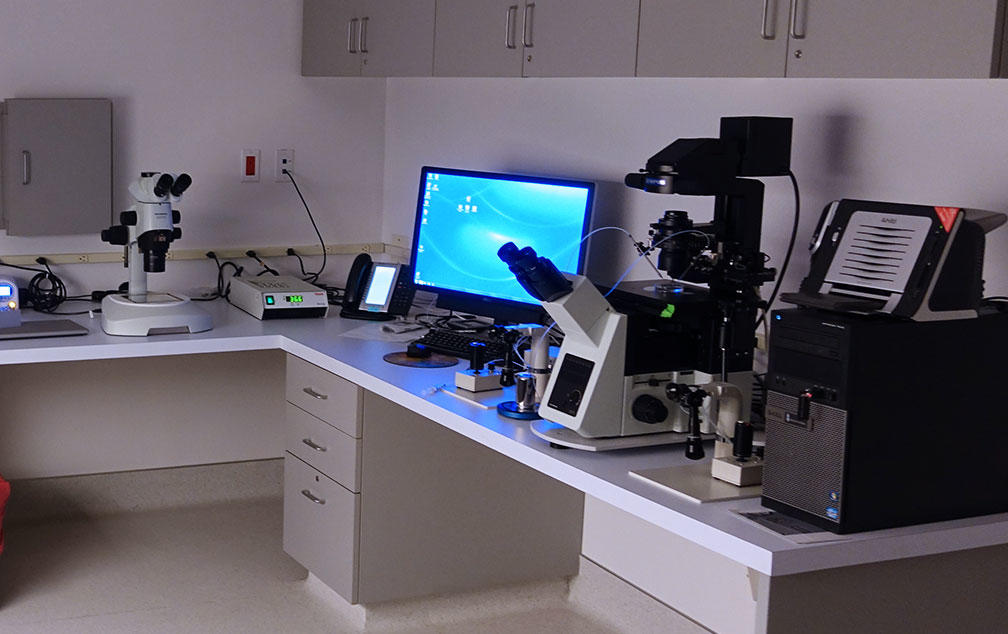 LA IVF Clinic photo 4