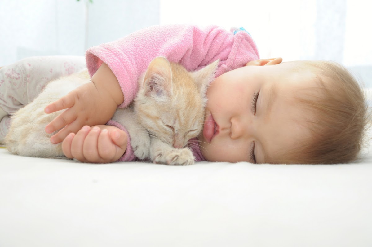 LA IVF Clinic photo 5